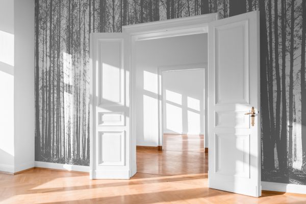 Double Door Restoration